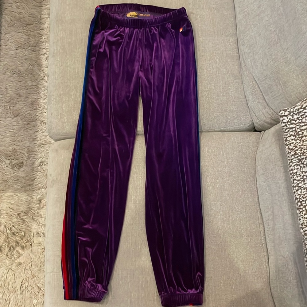 Aviator Nation purple velvet striped pants.